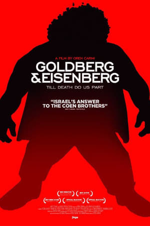 Poster גולדברג ואייזנברג 2013