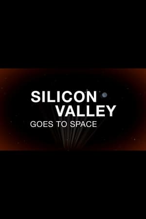 Poster Silicon Valley Goes to Space 2013