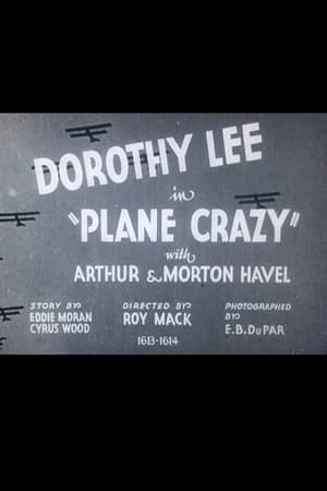 Poster Plane Crazy 1933