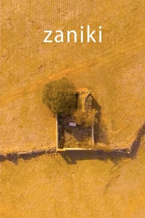 Image Zaniki