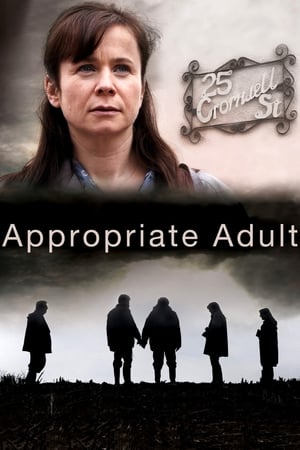 Poster Appropriate Adult 2011