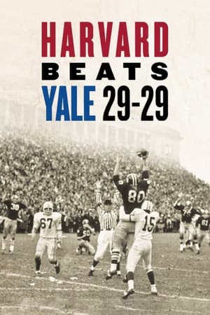 Poster Harvard Beats Yale 29-29 2008