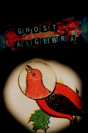 Poster Ghost Algebra 2010