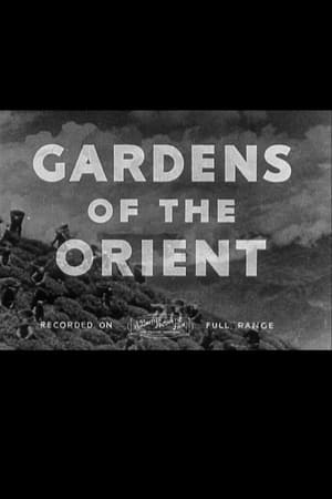 Image Gardens of the Orient