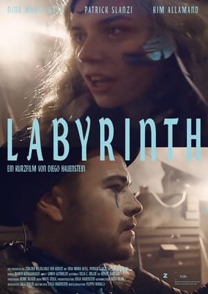Poster Labyrinth 2016