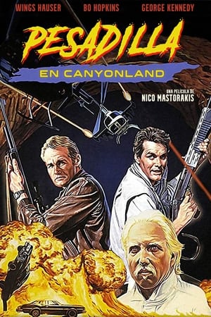 Poster Pesadilla en Canyonland 1988
