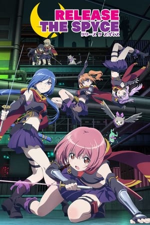 Poster Release the Spyce 2018