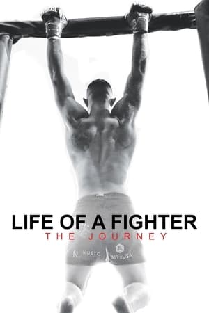 Poster Life of a Fighter: The Journey 2021