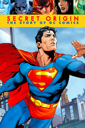 Poster Origem Secreta: A História Da DC Comics 2010
