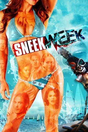 Poster Sneekweek 2016