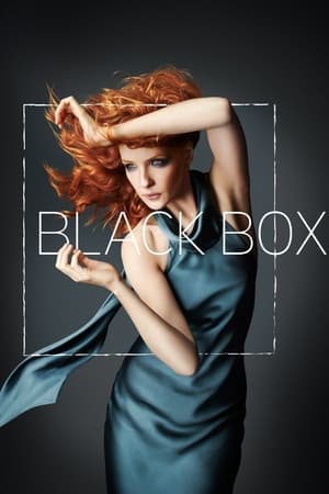 Poster Black Box 2014