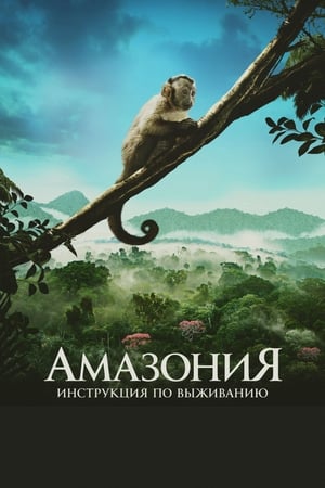 Poster Амазония: Инструкция по выживанию 2013