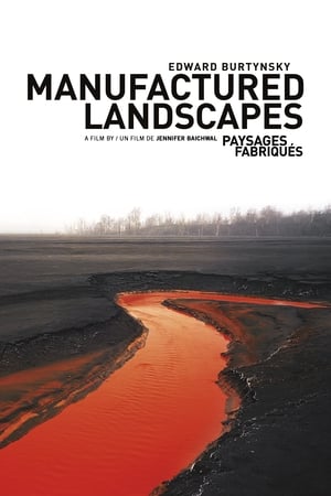 Poster Sfabrykowany krajobraz 2006