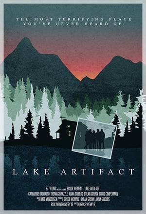 Image Lake Artifact