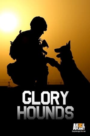 Poster Glory Hounds 2013