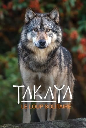 Poster Takaya, le loup solitaire 2019