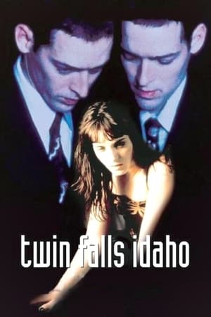 Poster Twin Falls Idaho 1999