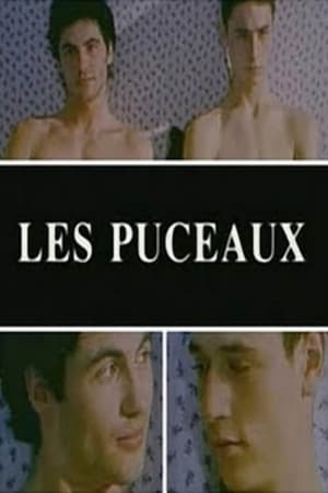Poster Les puceaux 1997
