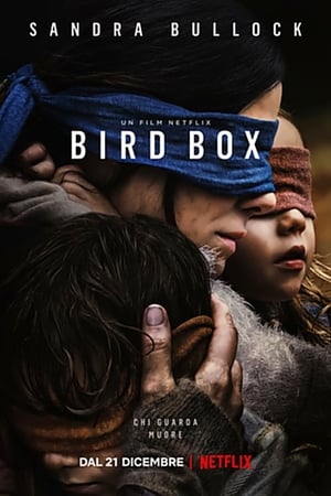 Poster Bird Box 2018
