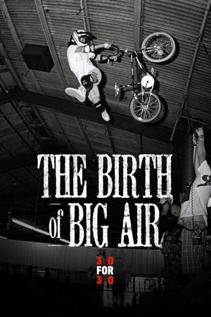 Poster The Birth of Big Air 2010