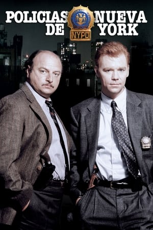 Poster Policías de Nueva York Temporada 10 Episodio 15 2003