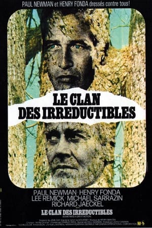 Poster Le Clan des irréductibles 1971