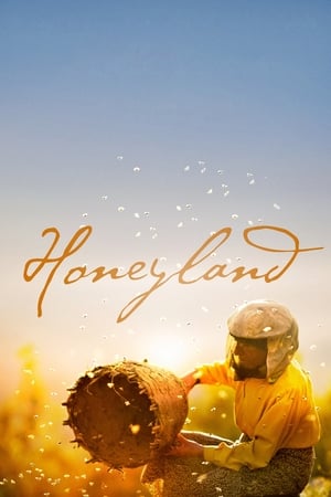 Image Honeyland