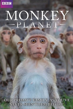 Poster Monkey Planet Séria 1 2014