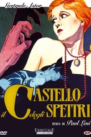 Poster Il castello degli spettri 1927