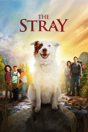Poster The Stray 2017