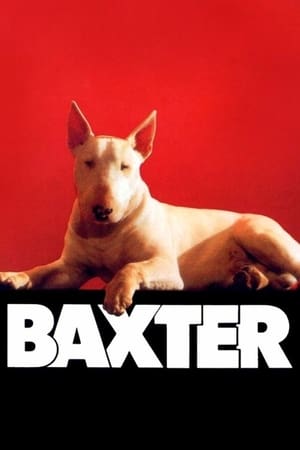 Poster Baxter 1989