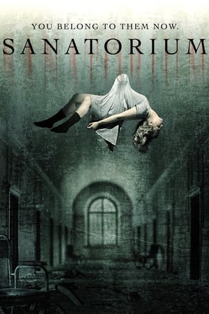 Poster Sanatorium 2013