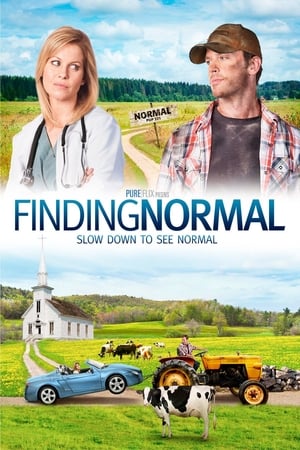 Poster Finding Normal 2013