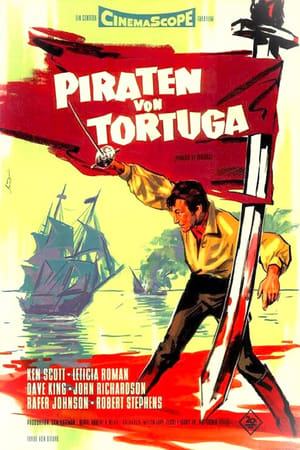 Image Piraten von Tortuga