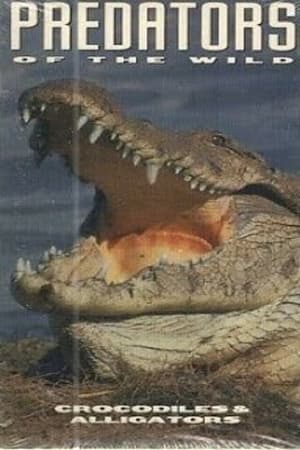 Poster Predators of the Wild: Crocodiles and Alligators 1994