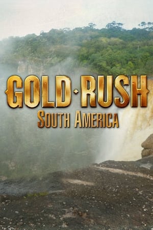 Poster Gold Rush: South America 2013
