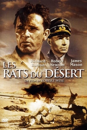 Poster Les Rats du Désert 1953