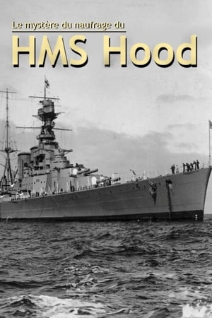 Poster How The Bismarck Sank HMS Hood 2012