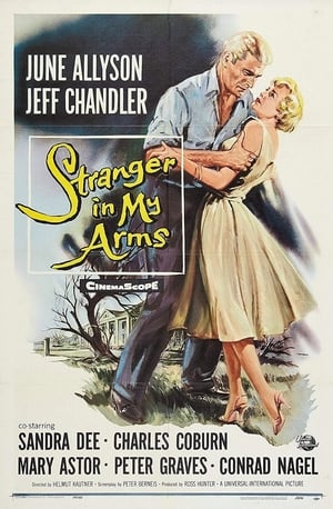 Poster Un étranger dans mes bras 1959