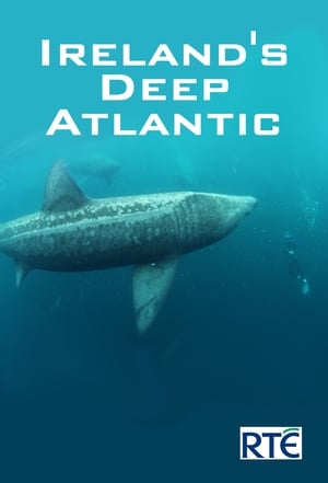 Image Ireland's Deep Atlantic
