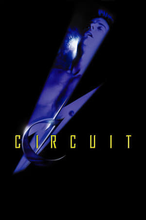 Poster Circuit 2001