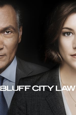 Poster Bluff City Law 2019