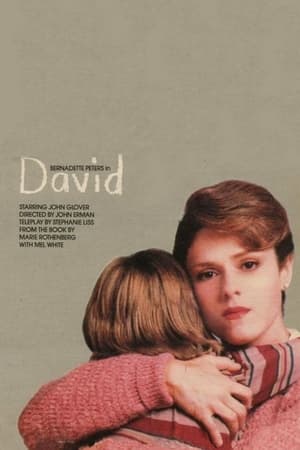 Poster Дэвид 1988