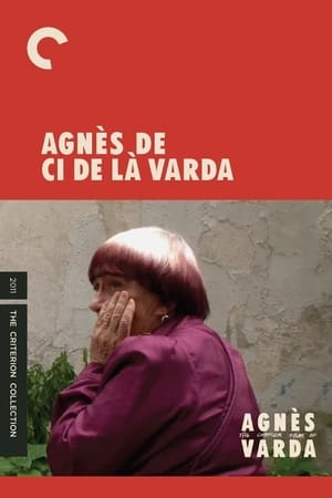 Poster Agnès de ci de là Varda 2011