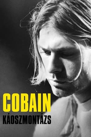 Image Cobain: Káoszmontázs