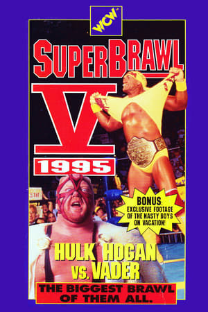 Poster WCW SuperBrawl V 1995