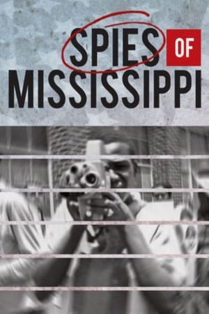Poster Spies of Mississippi 2014