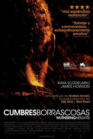 Poster Cumbres borrascosas 2011