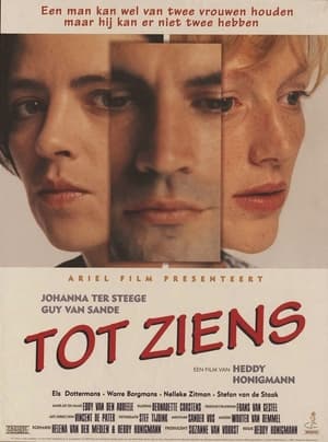 Poster Tot ziens 1995