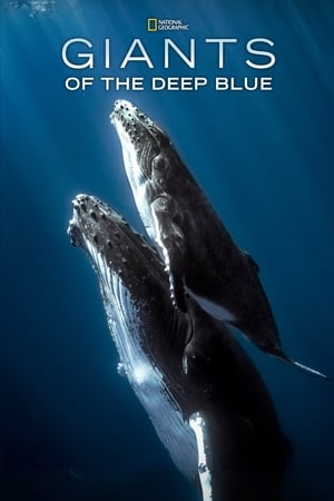 Poster Giants of the Deep Blue 2017